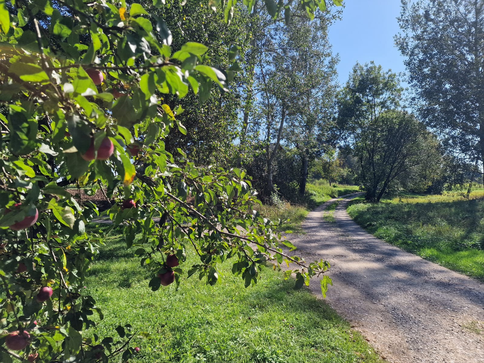 Wiejski dom w malowniczym otoczeniu - zdjęcie 26