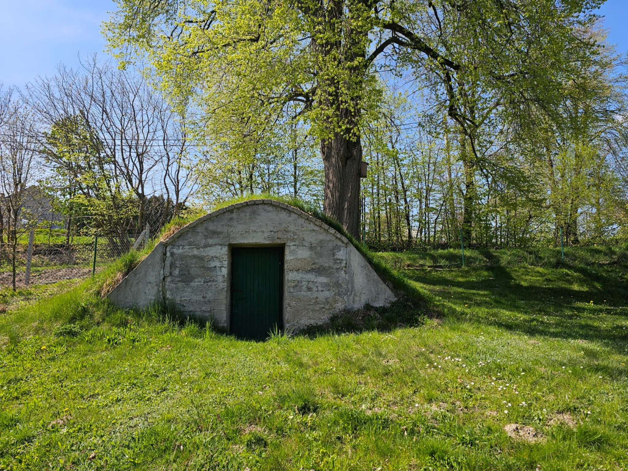 Dom gotowy do zamieszkania na dużej działce z budynkiem gospodarczym - zdjęcie 49